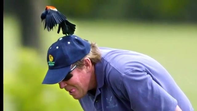 شکارتوسط سلاح بادی(اسلوموشن 12...