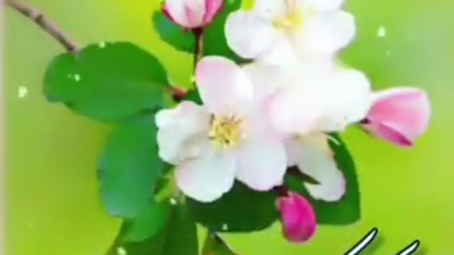 کلیپ سال نو مبارک  کلیپ تبریک...