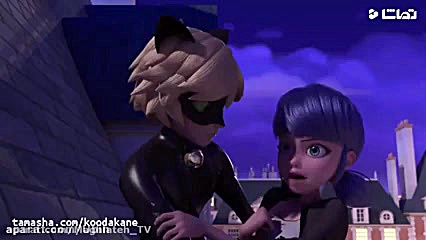 گربه سیاه و دخترکفشدوزکی