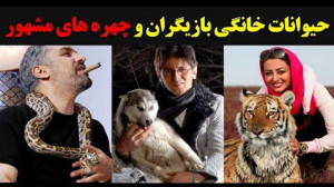 حیوانات خانگی بازیگران و چهره...