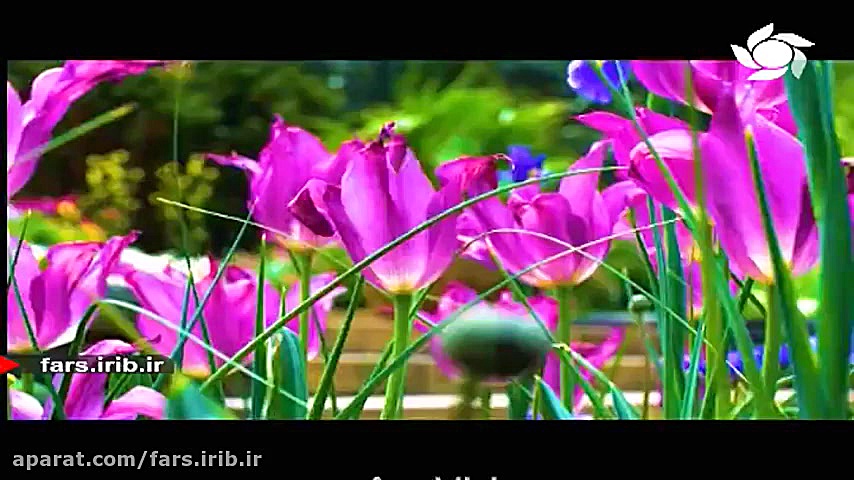 ترانه بسیار شاد و زیبا در وصف...