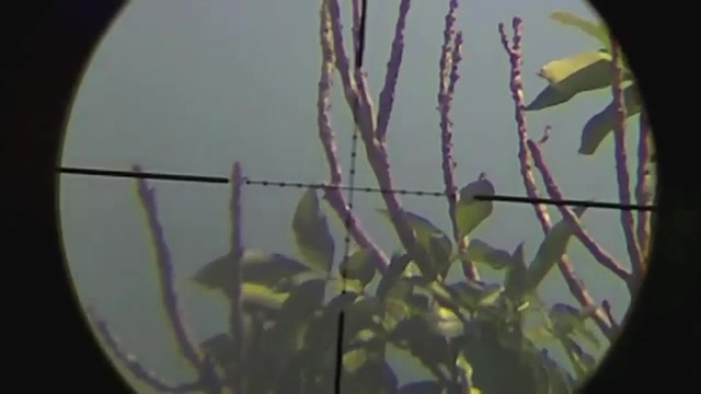 شکارتوسط سلاح بادی(اسلوموشن 17...