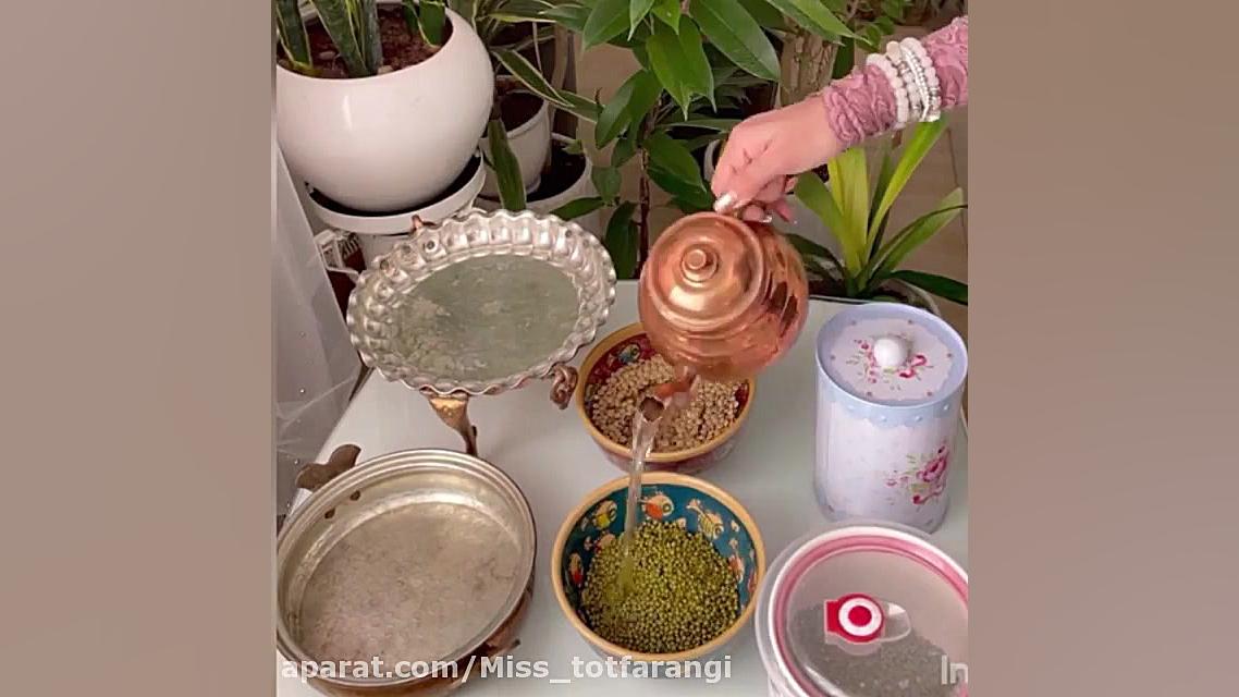 آموزش کاشتن‌ سبزه  عدس  ماش عی...