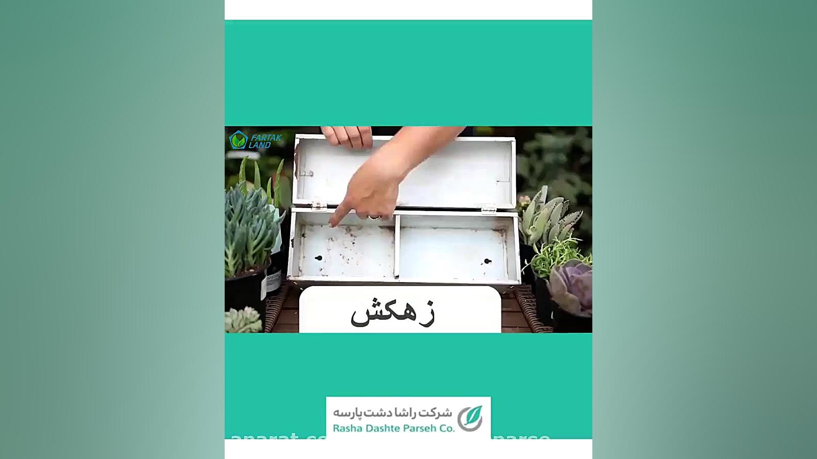 دیش گاردن (چیدمان ساکولنت)