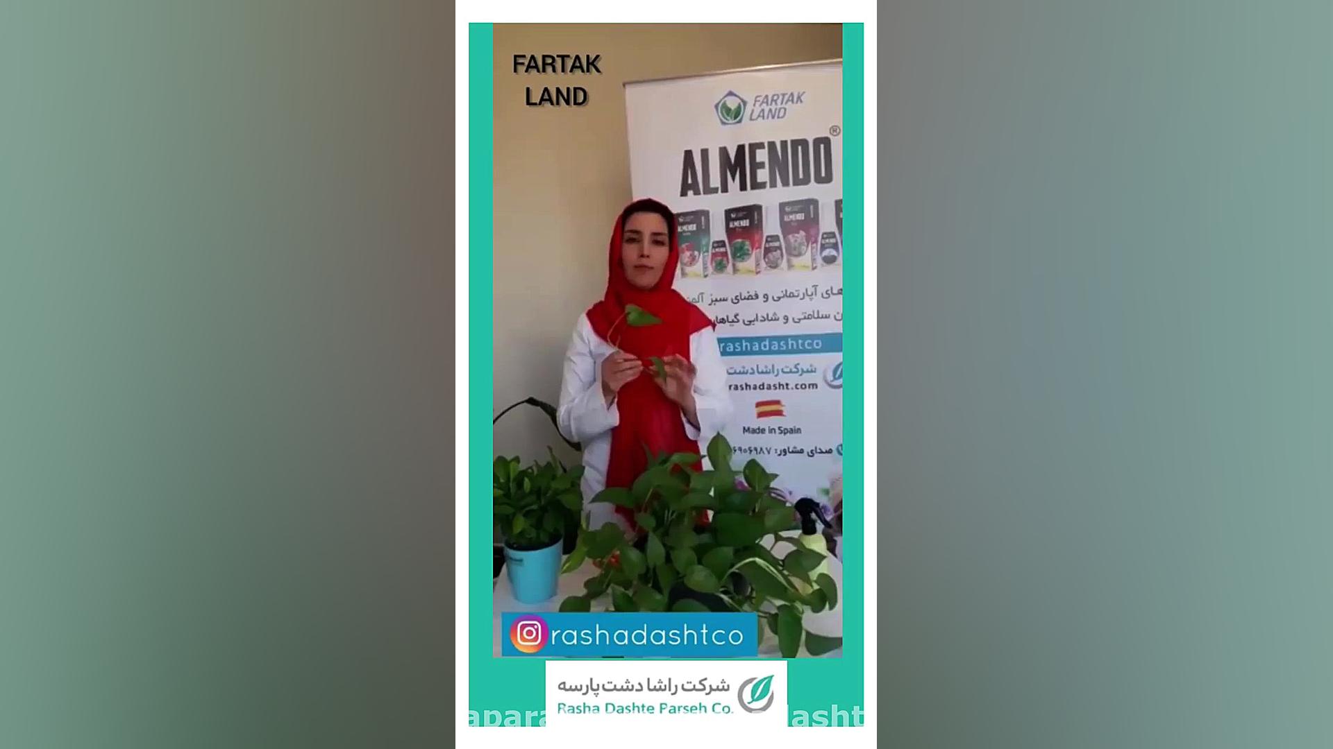 شرایط نگه‌داری پوتوس