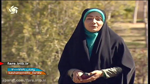 آموزش پخت " استیک مرغ و گ...