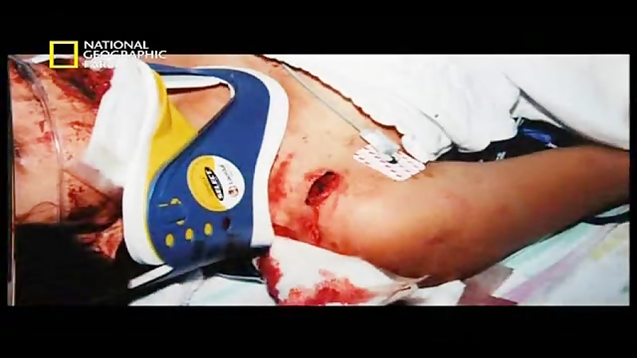 خطرناک ترین حیوانات آمریکای شم...