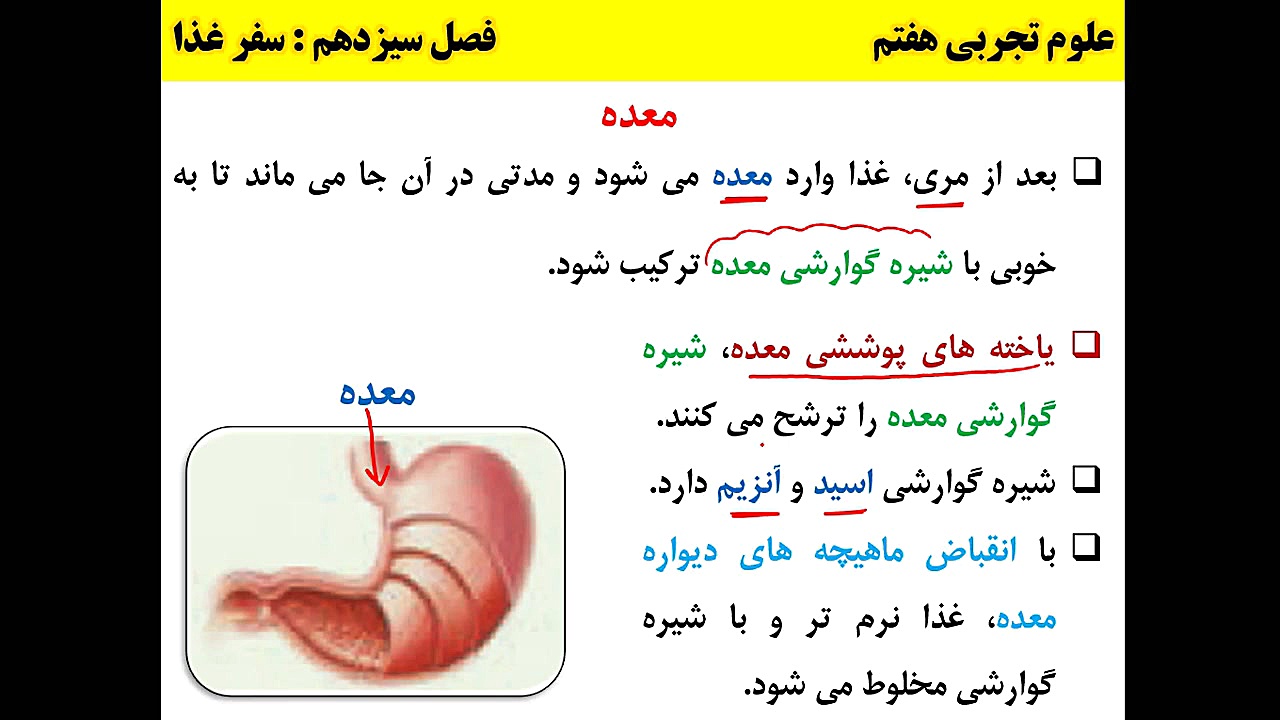 تدریس فصل ۱۳. قسمت اول