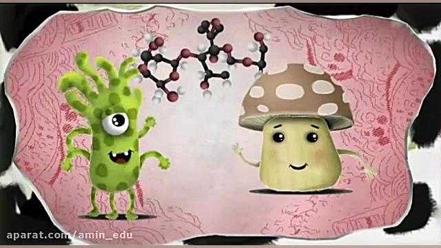 آشنایی با سوخت گیاهی