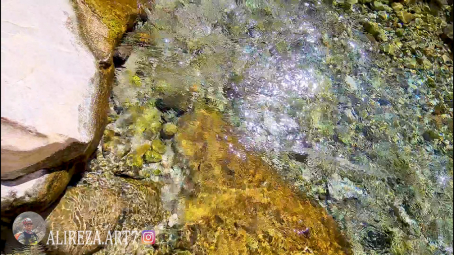 حس آرامش با قدم زدن داخل طبیعت...