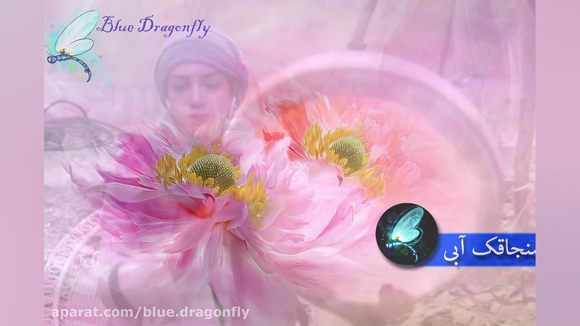 تبریک ولادت امام حسین، حضرت اب...