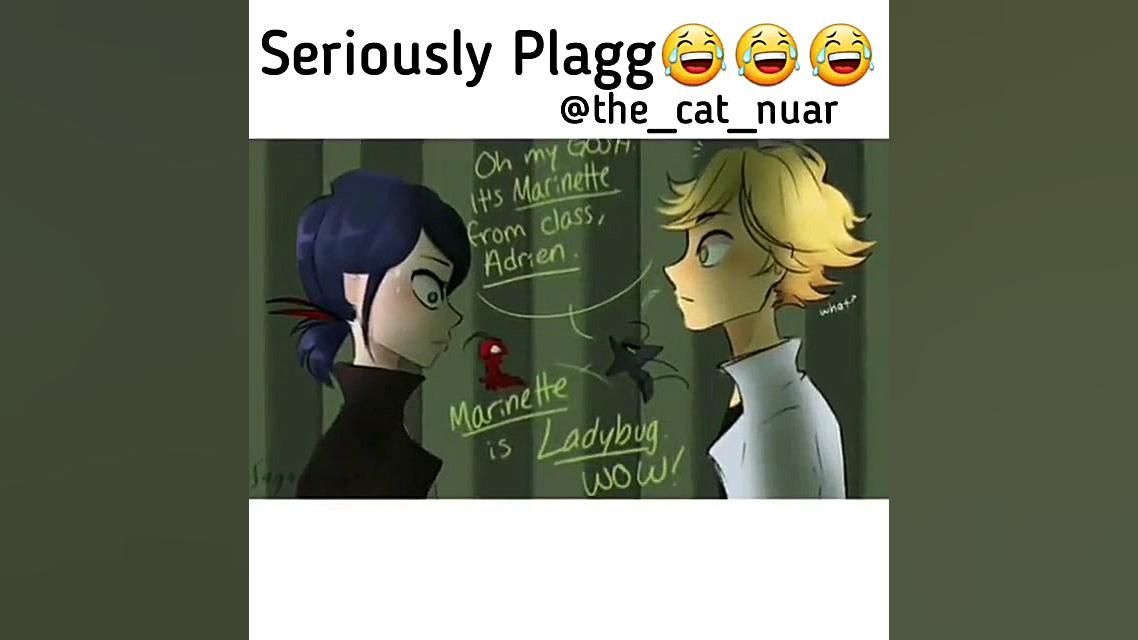 لو رفتن هویت مرینت و آدرین