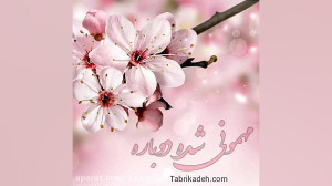 سال نو مبارک . تبریک سال نو ....