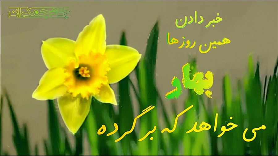 کلیپ تبریک میلاد امام زمان عید...