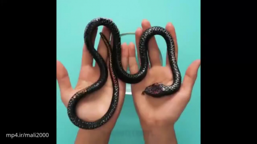 23 ترفند فوق العاده زیبا برای...