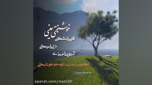 خوشبختی یعنی . دلنوشته . کلیپ...
