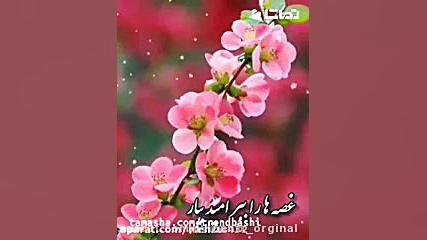 کلیپ برای تبریک عید  تبریک عید...