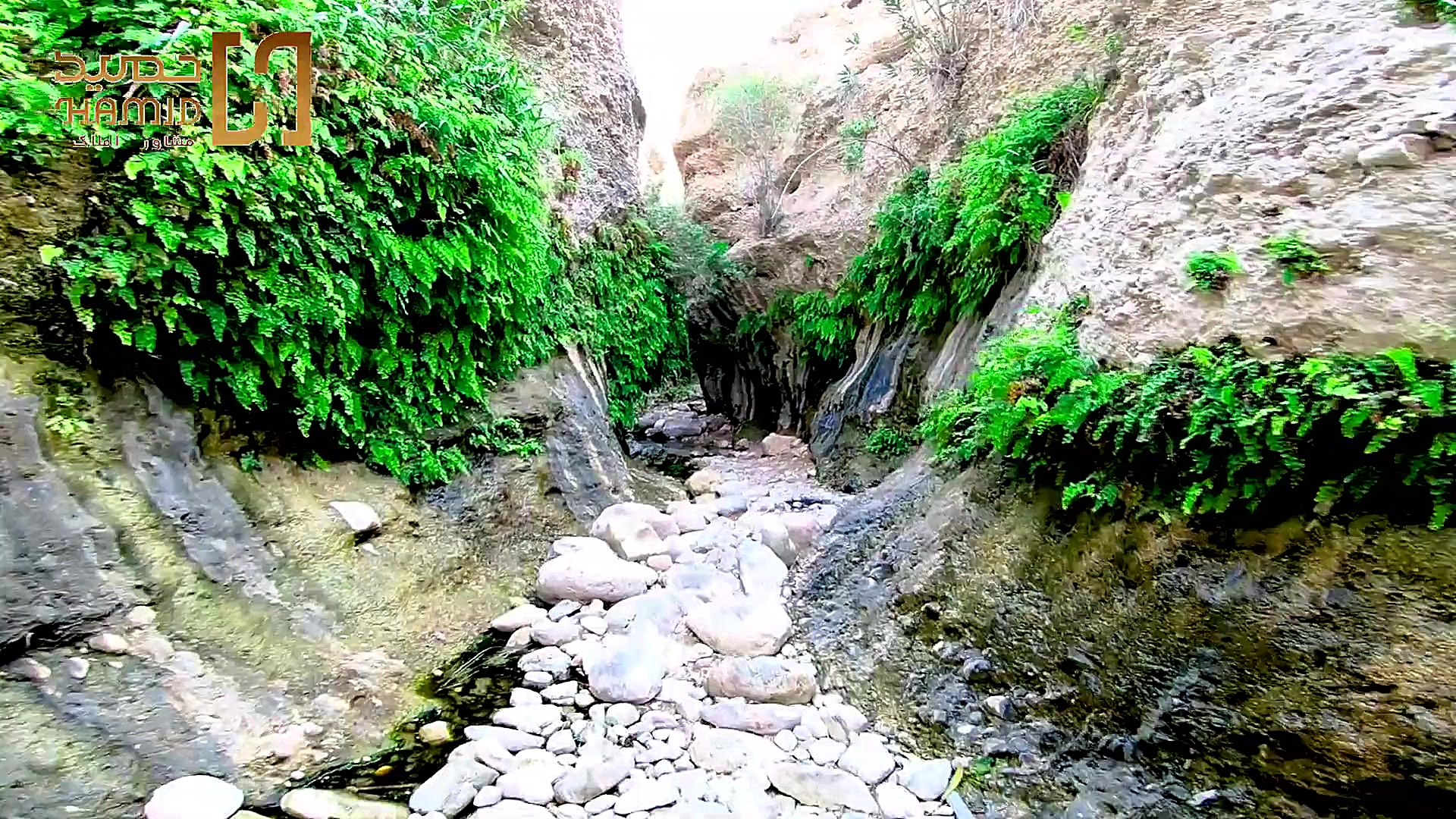 تبریک سال نو