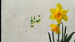 کلیپ تبریک نیمه شعبان دعای تحو...