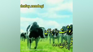 نوروز مبارک جدید . سال 1400 سا...