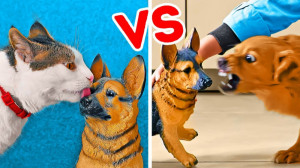 سگ و گربه  شوخی حیوانات خانگی