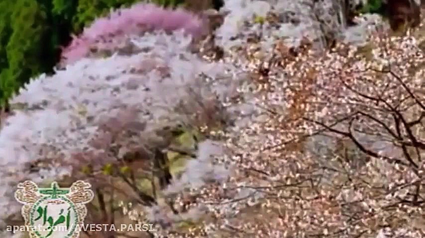 شد فرودین خواننده و آهنگساز آر...