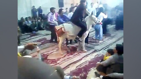 الاغ سواری داماد شب عروسی