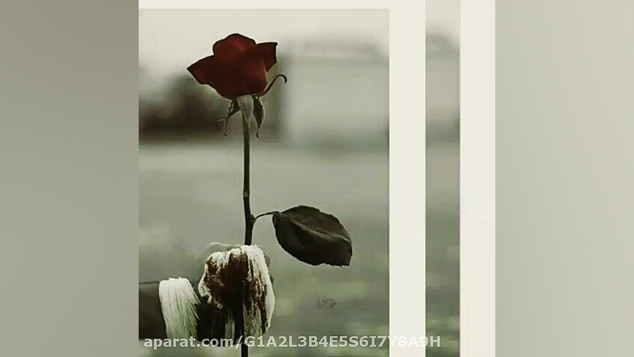 مهراب دیسلاو دپ