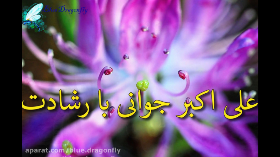 ولادت حضرت علی بن حسین و روز ج...