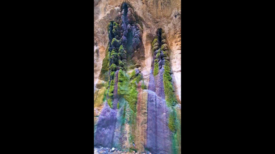 هیچ صدایی آرامش بخش تر از صدای...