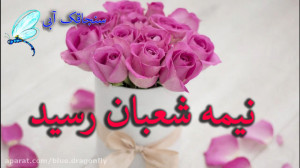 دف نوازی ولادت حضرت مهدی  تبری...