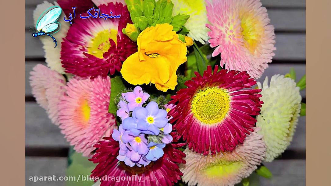 کلیپ تبریک ولادت امام زمان  آه...