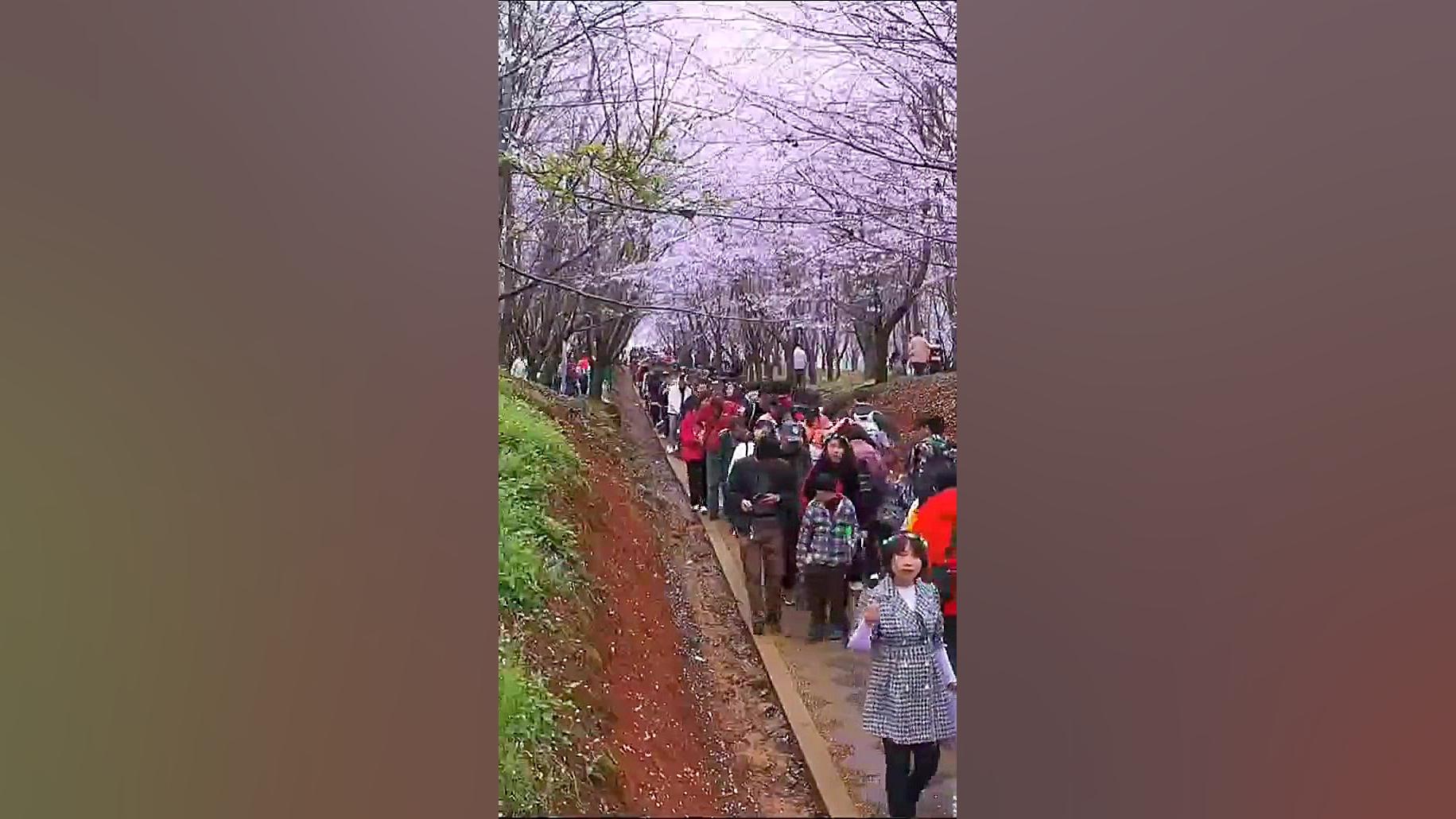 طبیعت فوق العاده زیباست