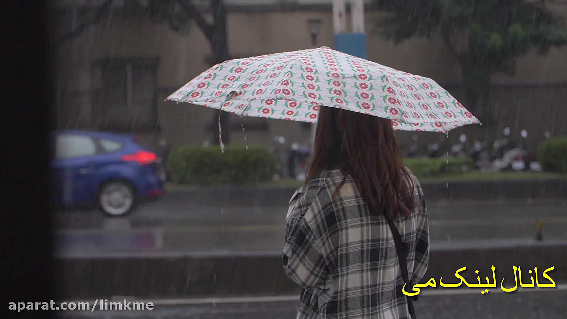 معجزه شکرگزاری روز دوم