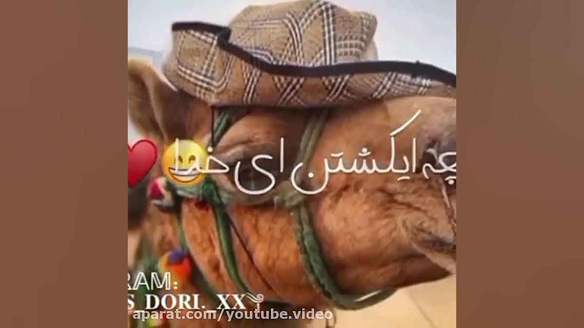 آهنگ فوقالعاده شاد بندری | آهن...