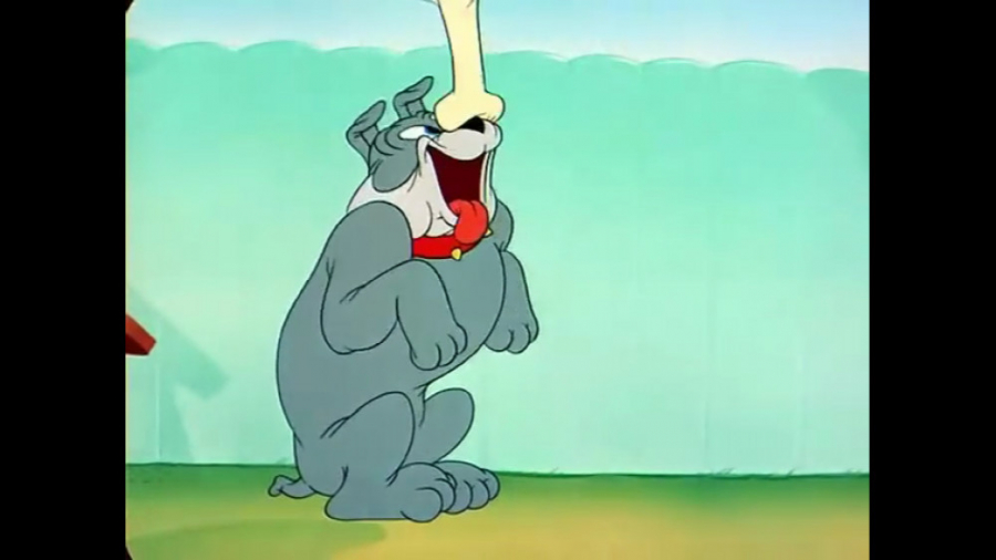 تام و جری | کارتون تام و جری ب...