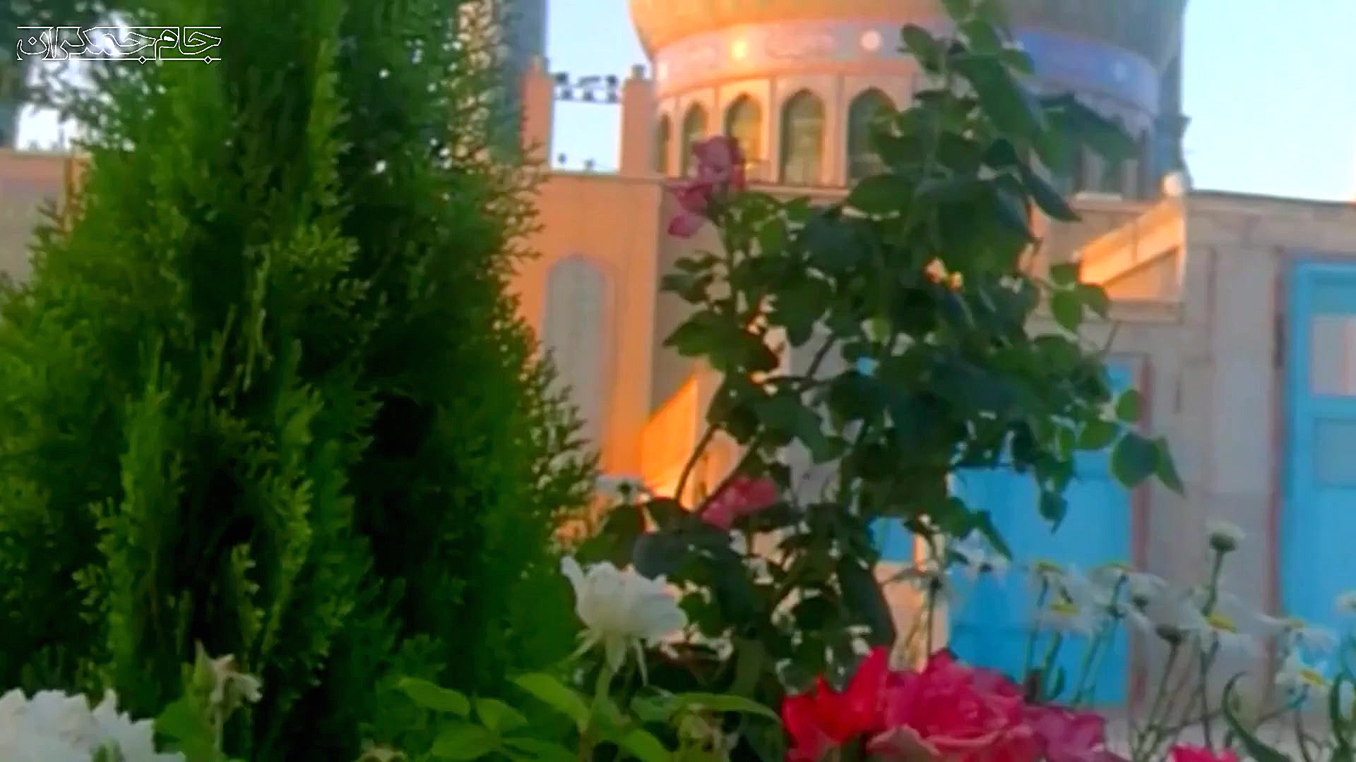 شاخه گل من نیومد