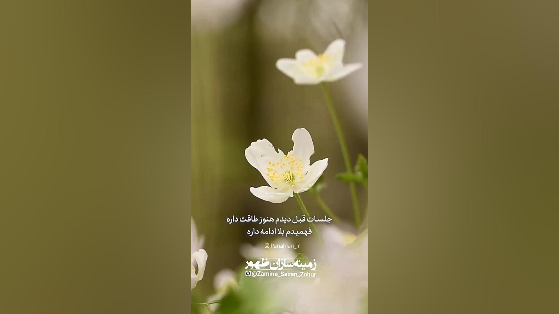 ظهور وقتی اتفاق می افته که...