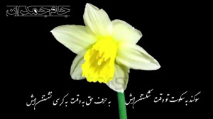 شعر ظهور امام زمان عج (تبریک ن...