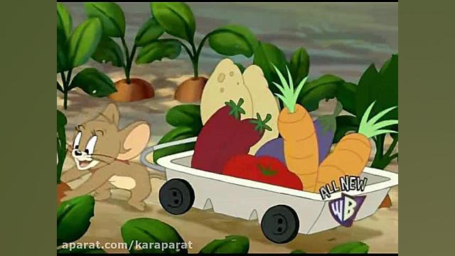 انیمیشن  موش و گربه  قسمت 417