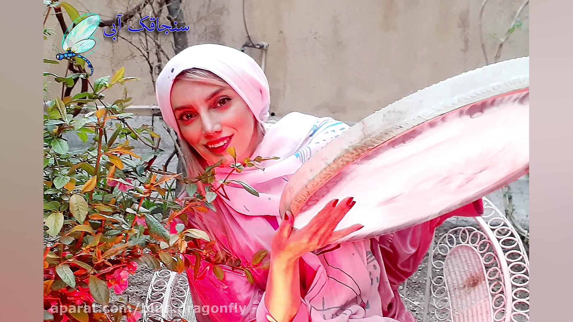 دف نوازی روز طبیعت  تبریک سیزد...