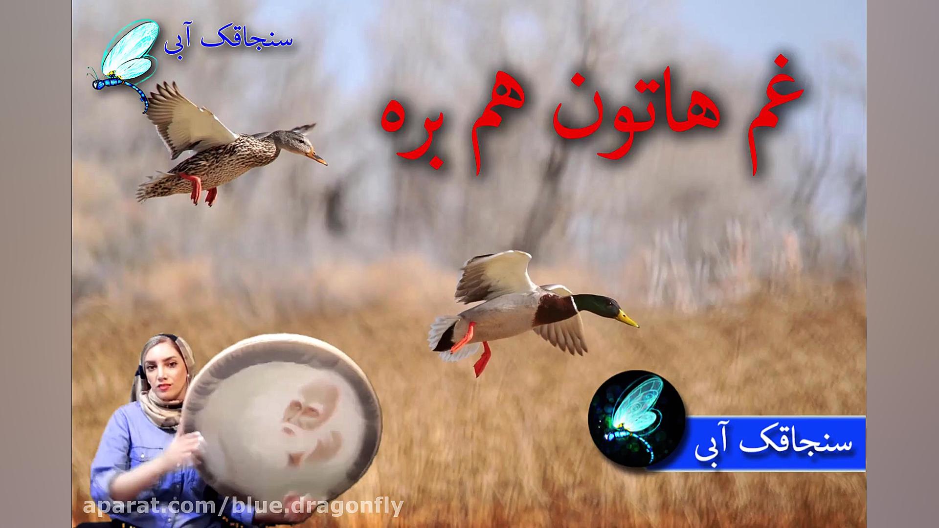 کلیپ تبریک سیزده بدر سال نو  ت...