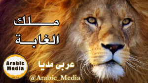 فلم وثائقية | الأسد ملك الغابة...