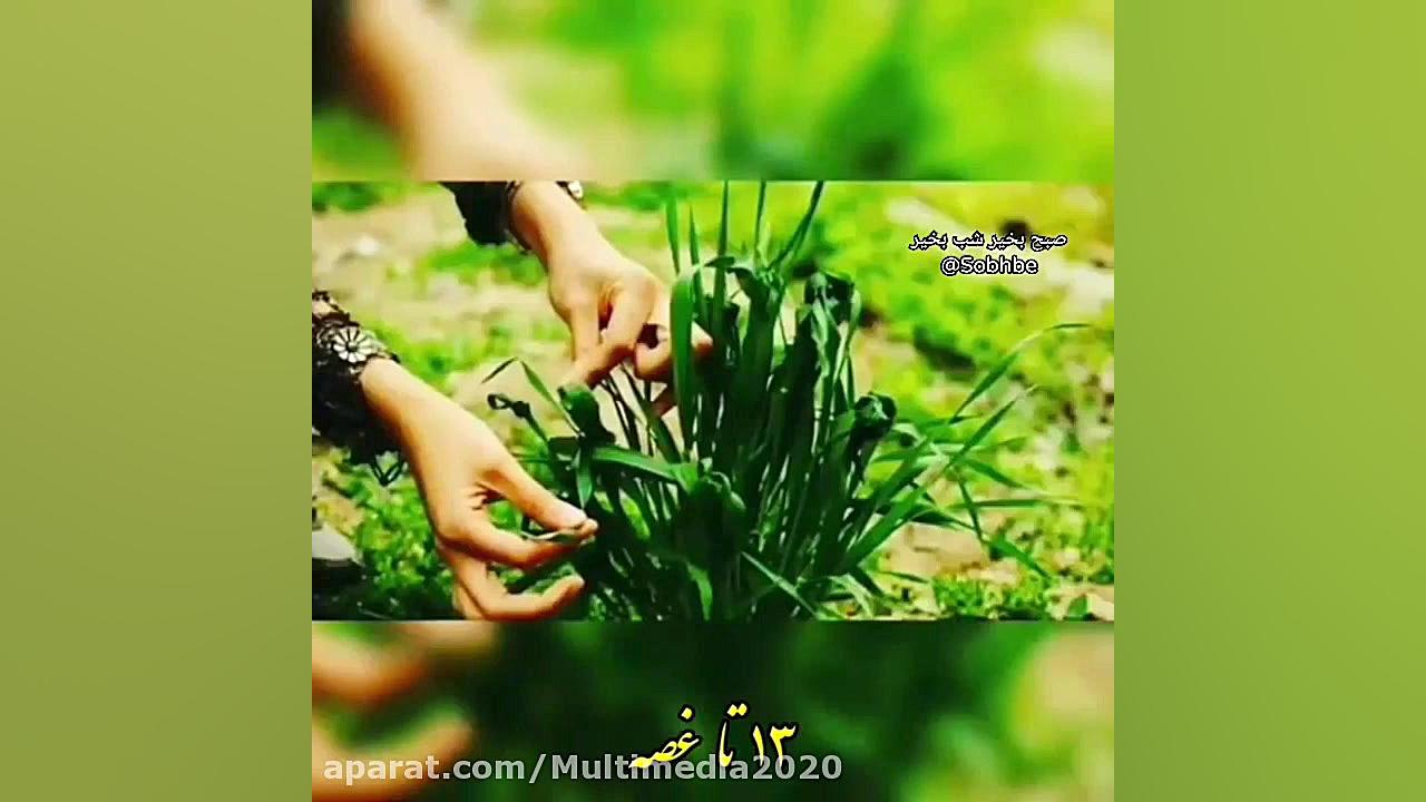 آهنگ شاد سیزده بدر  تبریک سيزد...