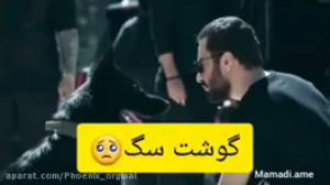 دوبله غمگین سریال قورباغه