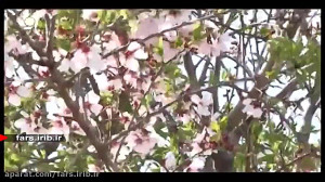 ترانه زیبای " تحویل بهار...