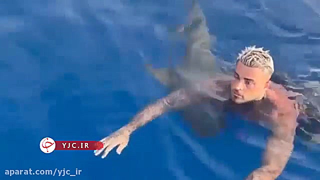 واکنش جالب هنرمند فرانسوی به ع...