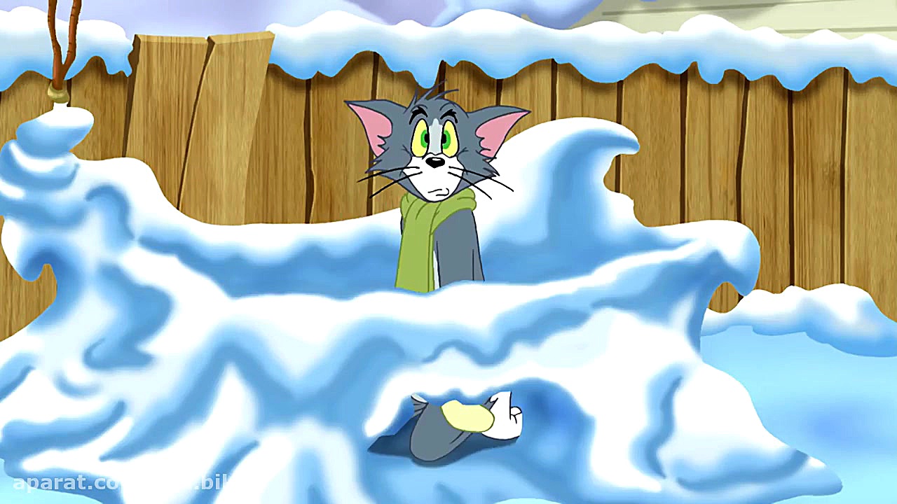 کارتون تام و جری جدید | ماجراه...