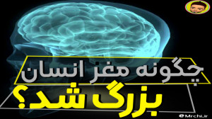چگونه مغز انسان بزرگ شد