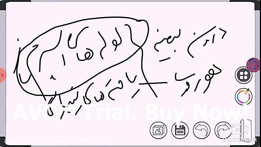 زیست شناسی یازدهم بخش 263